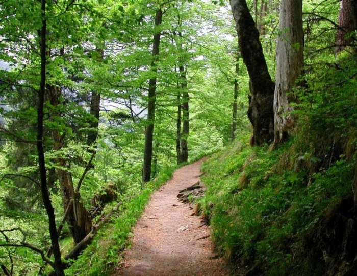 Терренкур - Оздоровительные услуги - Санаторий «Источник» Ессентуки